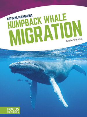 cover image of Humpback Whale Migration